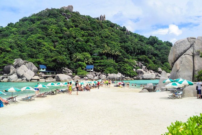 Day Trip to Koh Nangyuan & Koh Tao by Insea Speedboat from Koh Samui - Key points before you book