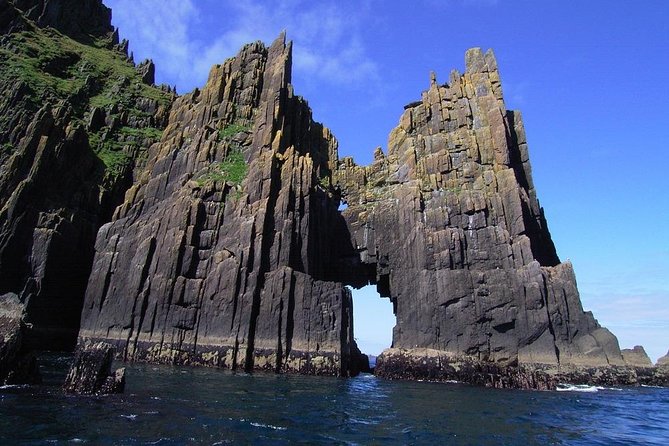 Dingle Boat Tours RIB Adventure Private - Seals, Dolphins, Puffins, and the Chance of a Whale