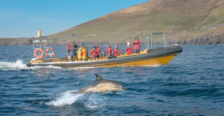 Dingle: Sea Safari by RIB Boat - The RIB ride across Dingle Bay