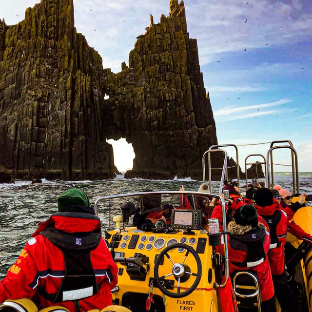Dingle: Sea Safari by RIB Boat - What $125 buys you