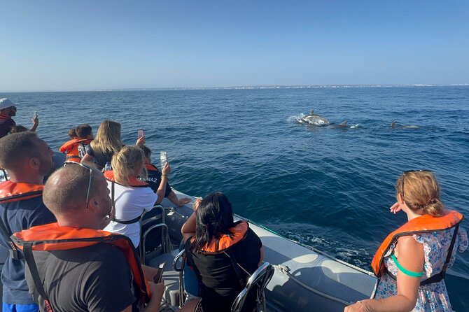 Dolphin Expedition Shared Speedboat tour with Biologist guide - Portimão Museum and the Ruins of São Francisco