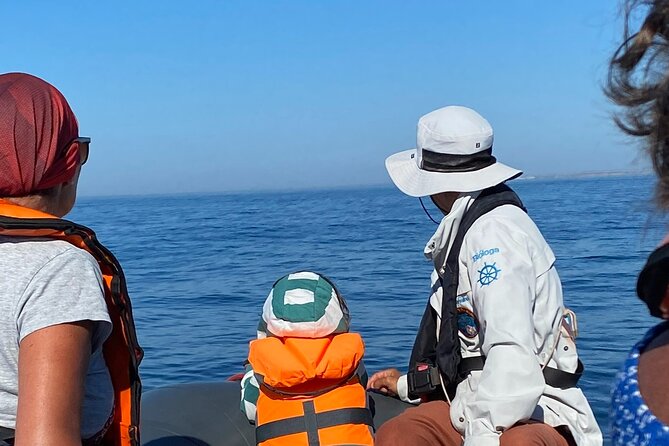 Dolphin Expedition Shared Speedboat tour with Biologist guide - A Fisherman’s Village and São João do Arade Castle