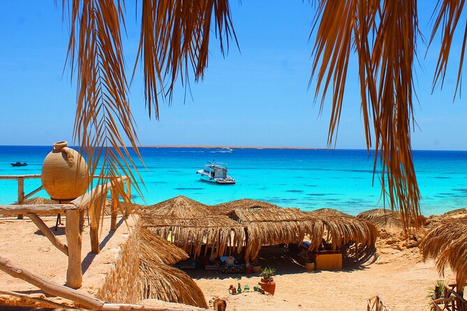 Dolphin House By Private Speedboat With Giftun Island _ Hurghada - Hurghada to Giftun Island by speedboat