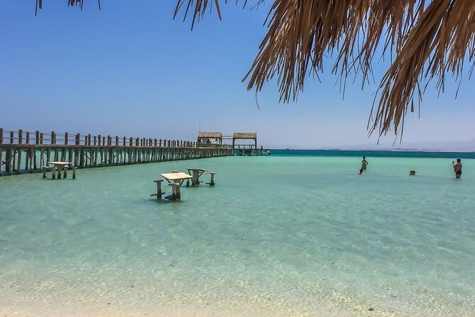 Dolphin House By Private Speedboat With Giftun Island _ Hurghada - Two hours on Orange Island