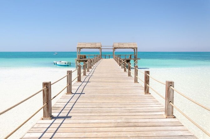 Dolphin House By Private Speedboat With Giftun Island _ Hurghada - Snorkeling around coral and marine life