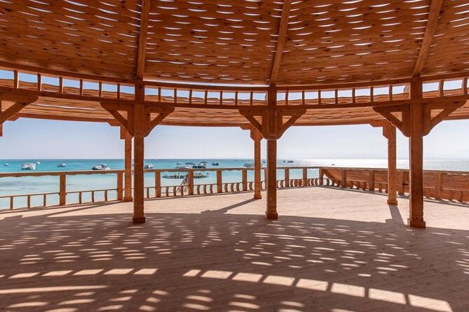 Dolphin House By Private Speedboat With Giftun Island _ Hurghada - Dolphin watching on the return route