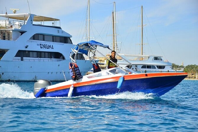 Dolphin Snorkel With private Speed Boat & Water Sports - Hurghada - The crew and the feel of a private outing