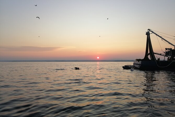 Dolphin Sunrise Adventure with Speedboat - A sunrise view worth the alarm