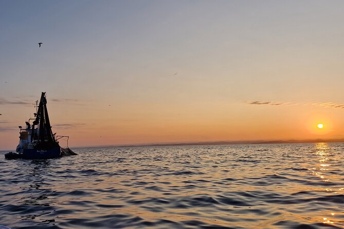 Dolphin Sunrise Adventure with Speedboat - What the speedboat ride feels like