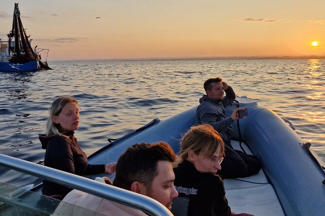 Dolphin Sunrise Adventure with Speedboat - The guide’s role on a wildlife trip