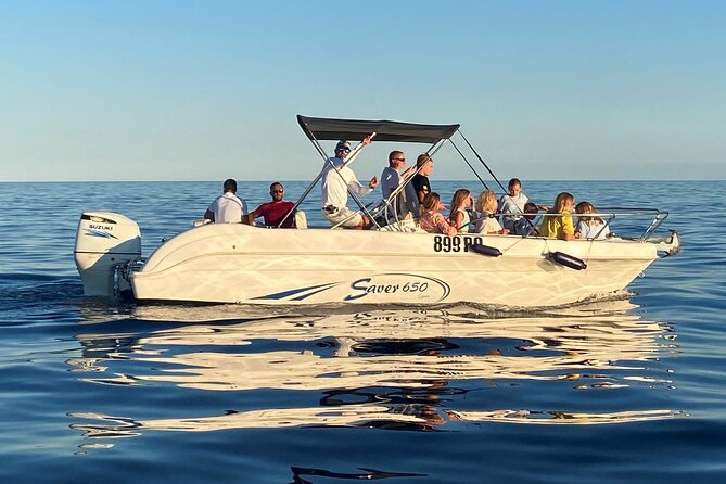 Dolphin Sunrise Adventure with Speedboat - Is $42.17 a fair price?