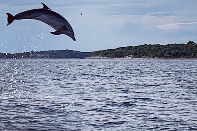 Dolphin Sunset Adventure with Speedboat - Setting Out From Vrsar at 6:00 pm