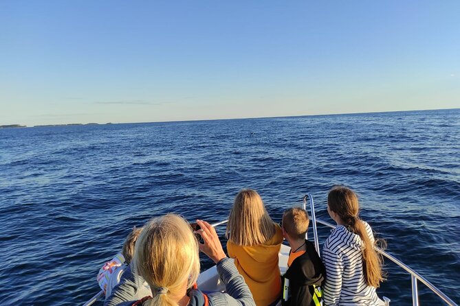 Dolphin Sunset Adventure with Speedboat - Weather and Cancellation Reality