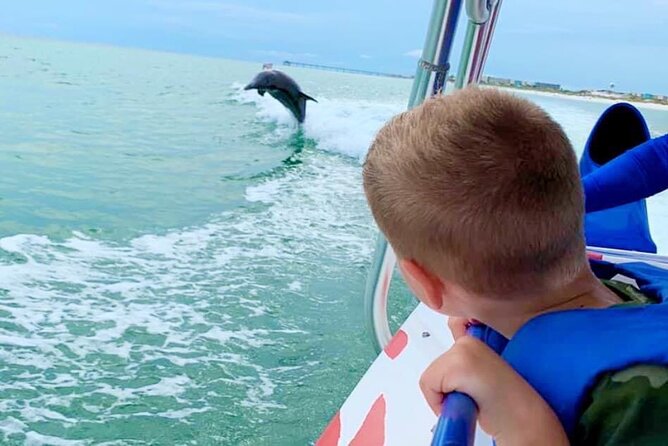 Dolphin-Watching Speedboat Cruise in Destin Harbor - Key points to know before you book