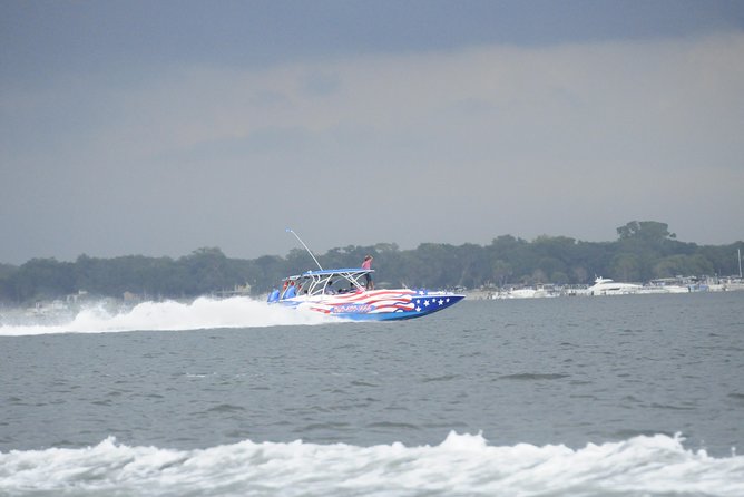 Dolphin-Watching Speedboat Cruise in Destin Harbor - Searching the Gulf for dolphins