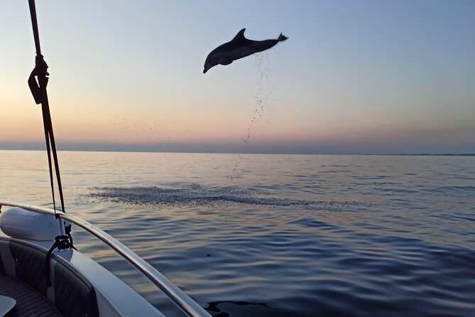 Dolphin Watching Sunset Speedboat Tour with Drinks in Rovinj - Drinks, stories, and the skipper’s role