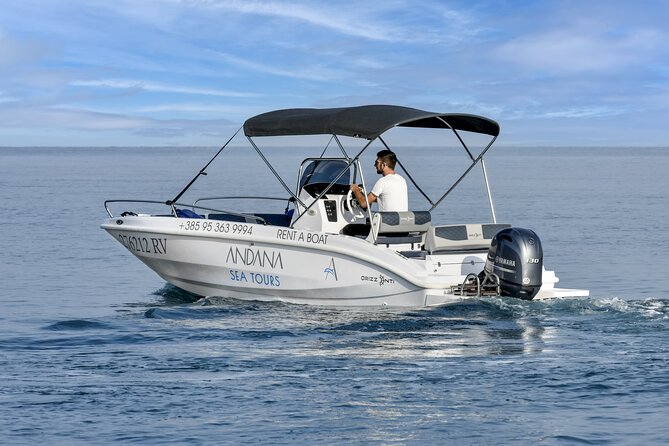 Dolphin Watching Sunset Speedboat Tour with Drinks in Rovinj - Is $75.62 good value?