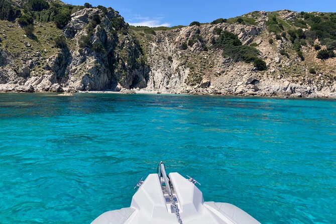 Dolphins Rib boat (up 6 people) Private - The Onboard Aperitif and Family Appeal