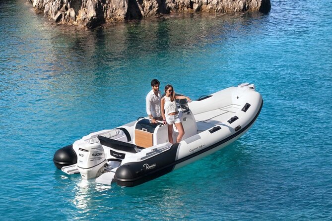 Dolphins Rib boat (up 6 people) Private - Who Gets the Best Value