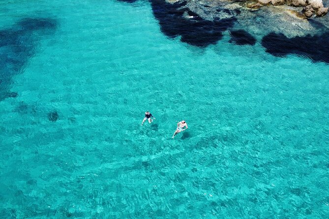 Dolphins Rib boat (up 6 people) Private - Figarolo’s Clear Water and Cala Moresca
