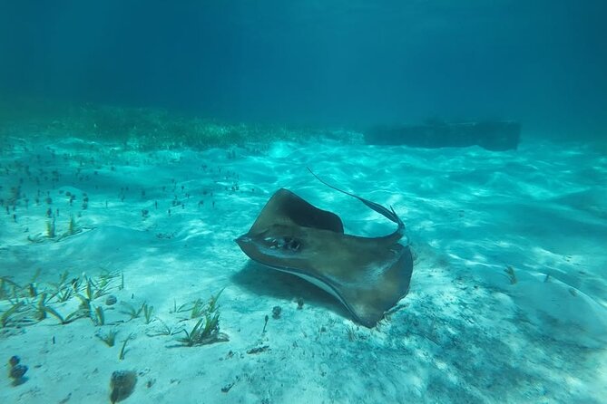 Drive an Speedboat at full speed at Cancun's Lagoon & Snorkeling - Who will enjoy this Cancun water adventure?