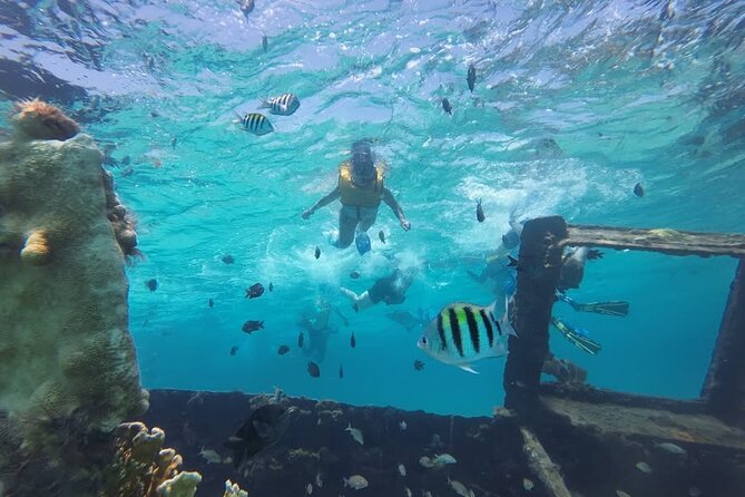 Drive an Speedboat at full speed at Cancun's Lagoon & Snorkeling - Practical planning for the two-hour experience