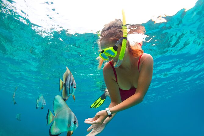 Drive an Speedboat + Mayan Ritual + Food Tasting and More! - What the two-hour schedule means