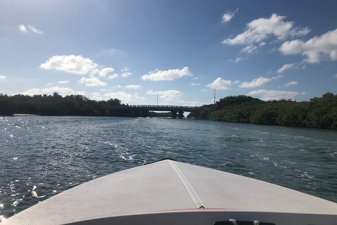 Drive the best speedboat in Cancun and feel the adrenaline. - Booking Timing, Pickup, and Cancellation Details