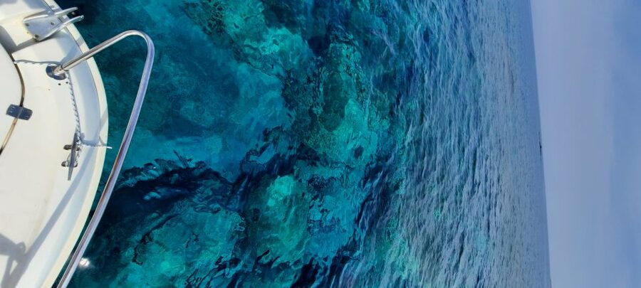 Dubrovnik: Blue Cave Tour by Speedboat - Forty-five minutes at the Three Green Caves