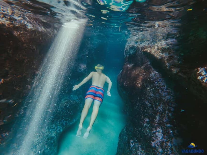 Dubrovnik: Morning Blue Cave speedboat tour with drinks - Koločep’s Blue Cave and the first swim