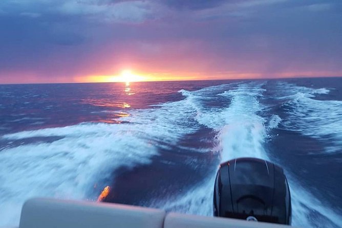 Dubrovnik Speedboat Quicksilver 675 Private Tours - What the Skipper and Boat Add