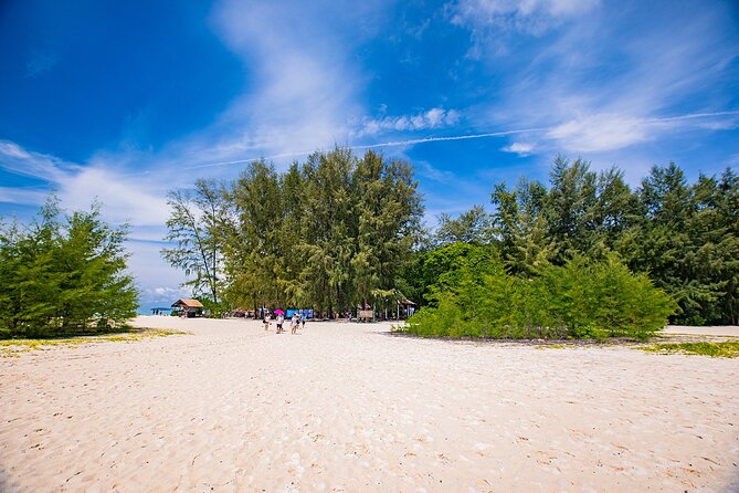 Early Bird Phi Phi Islands Tour From Phi Phi by Speedboat - Shark Point is the day’s most distinctive snorkeling