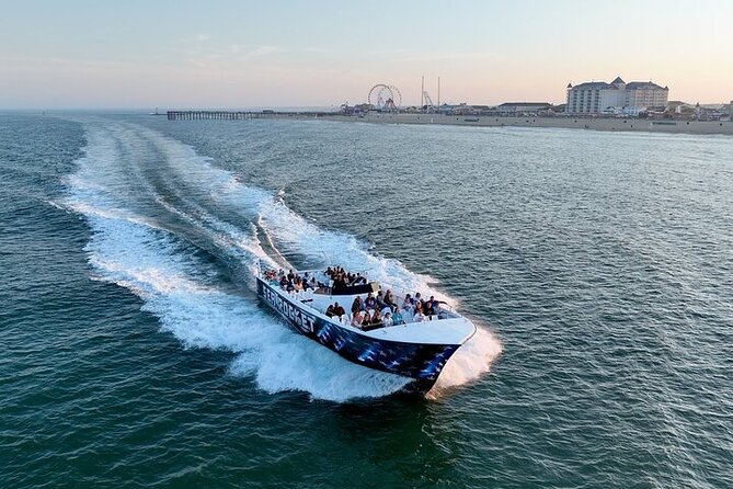 EARLY BIRD SPECIAL: Speed Boat & Dolphin Cruise in Ocean City, MD - Starting at 307 Dorchester Street
