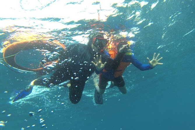 Early Bird Speedboat Group Tour : Explore Komodo Ahead of Crowds - Siaba Island: the final water stop