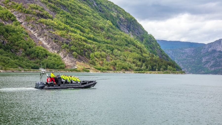 Eidfjord: 1-Hour Fjord RIB Tour - Key points before you book