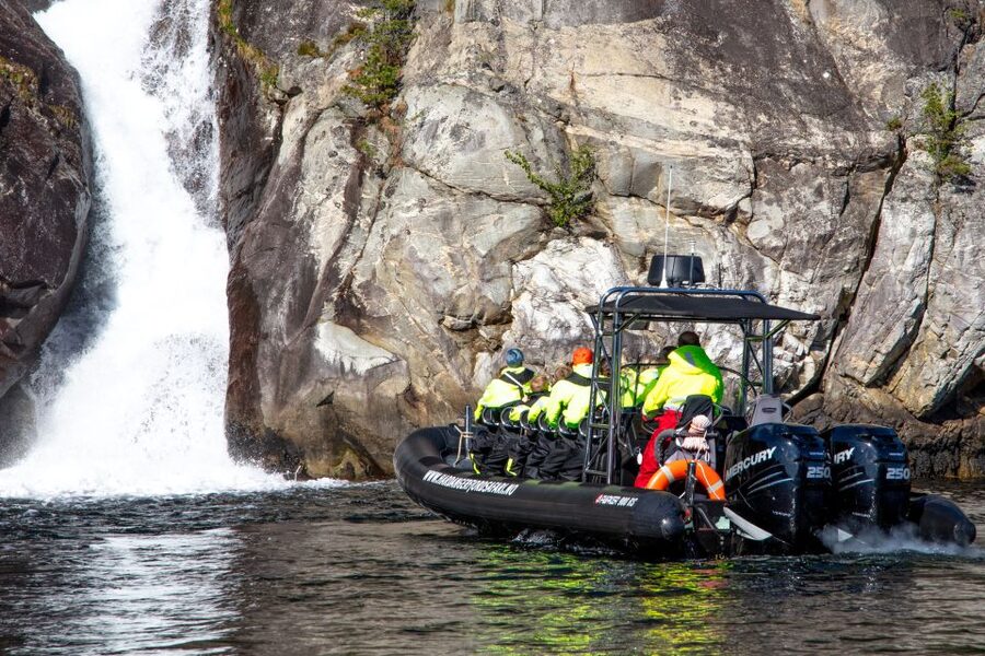 Eidfjord: 1-Hour Fjord RIB Tour - Wildlife watching from a moving boat