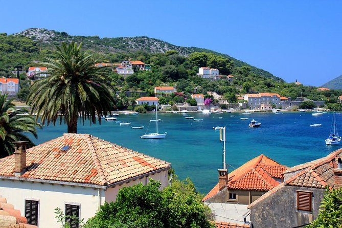 Elafiti Islands Private Tour with Fisher 20 Speedboat - Šunj Beach: the easiest family stop