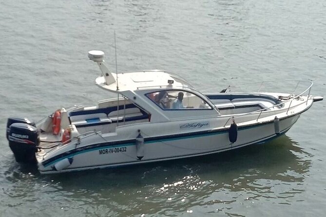 Elephanta Caves Tour by Private Speed Boat - What the two-hour cave visit gives you