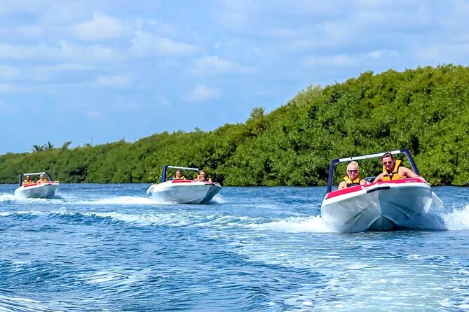 Exciting Speedboat & Snorkeling Tour in Cancun Lagoon! - What I would expect on the day
