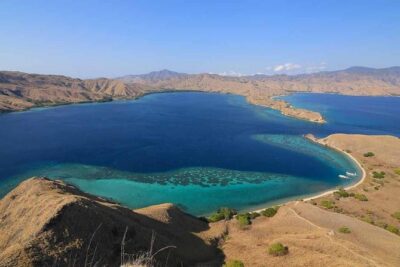 Exclusive Early Bird Komodo Tour: Beat the Crowds by Speed Boat