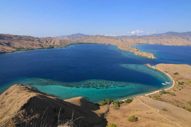 Exclusive Early Bird Komodo Tour: Beat the Crowds by Speed Boat - Padar Island and the famous three-bay view