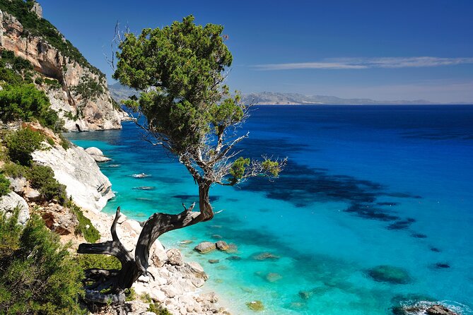 Exclusive Rib for Tours Along the Baunei Coast - Piscine di Venere: A Short Photo and Swim Stop
