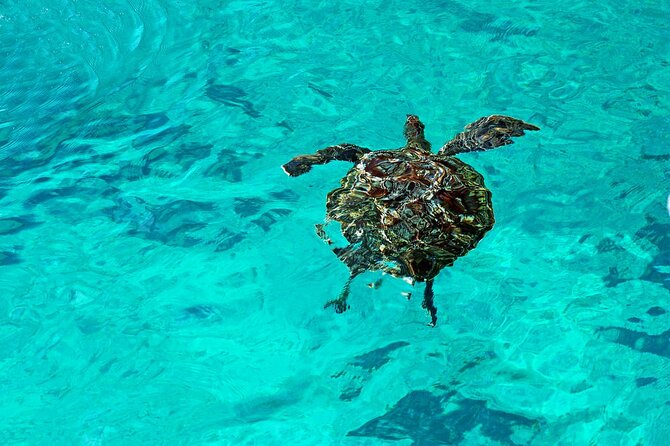 Exclusive Similan Island by Speed Boat - Food, equipment, and what you should pack