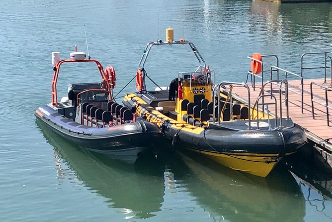 Exhilarating Rib experience - Dingle sea safari - Sea caves, cliffs, and the Blasket Islands