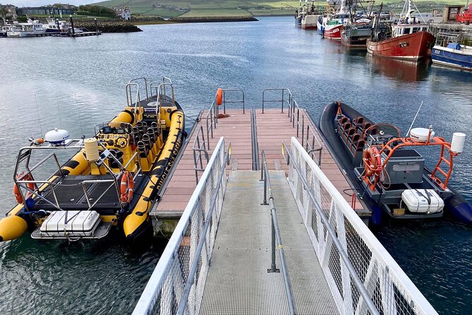 Exhilarating Rib experience - Dingle sea safari - The captains add more than directions