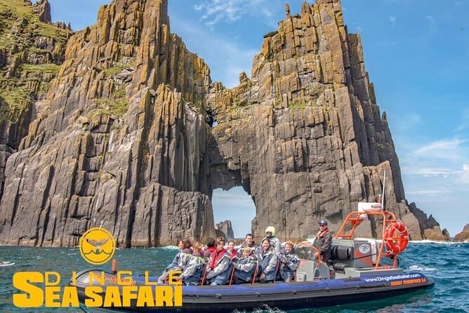 Exhilarating Rib experience - Dingle sea safari - Who should take this sea safari?