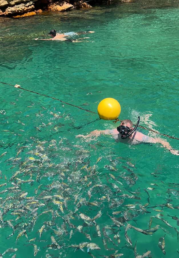 Experience Paradise Ilha Grande in a Speedboat Private - Beach stops made at your pace