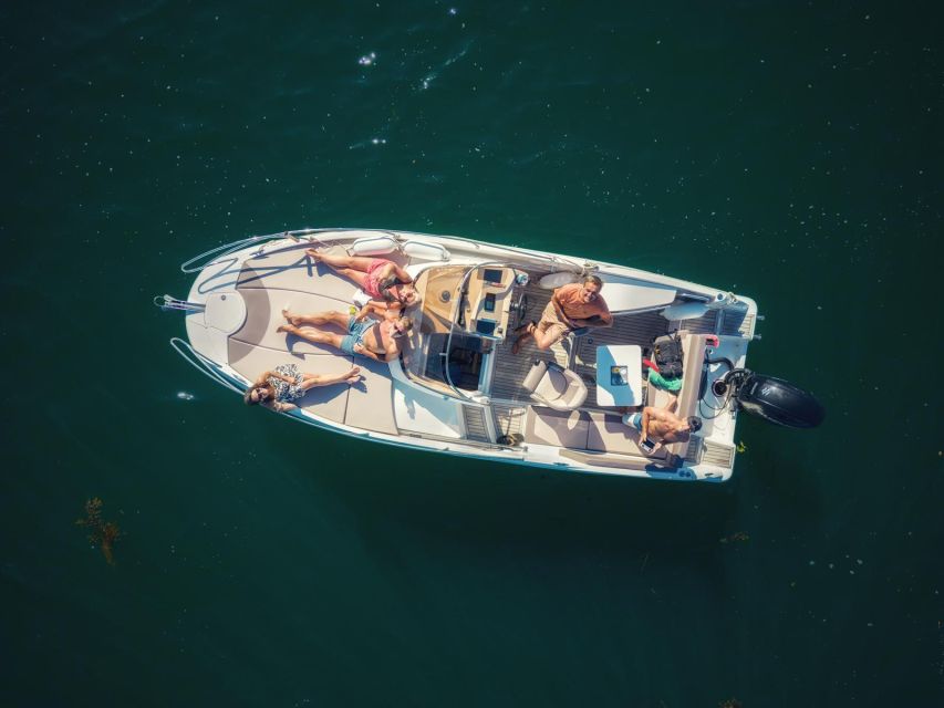 Falmouth Bay, Cornwall: Private Skippered Speed Boat Trip - Henry VIII Castles and the Falmouth Bay Coast