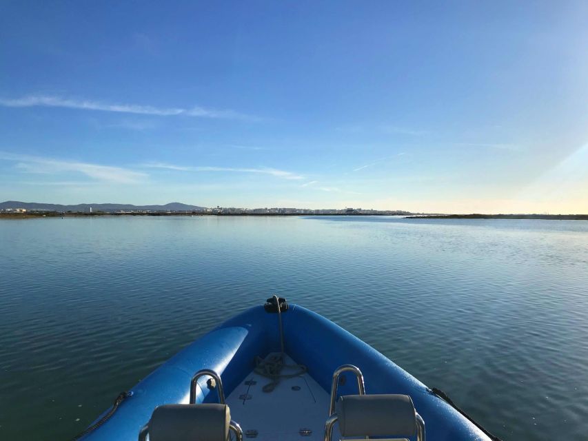 Faro: Speed Boat Tour - The Ride Through Parque Natural da Ria Formosa