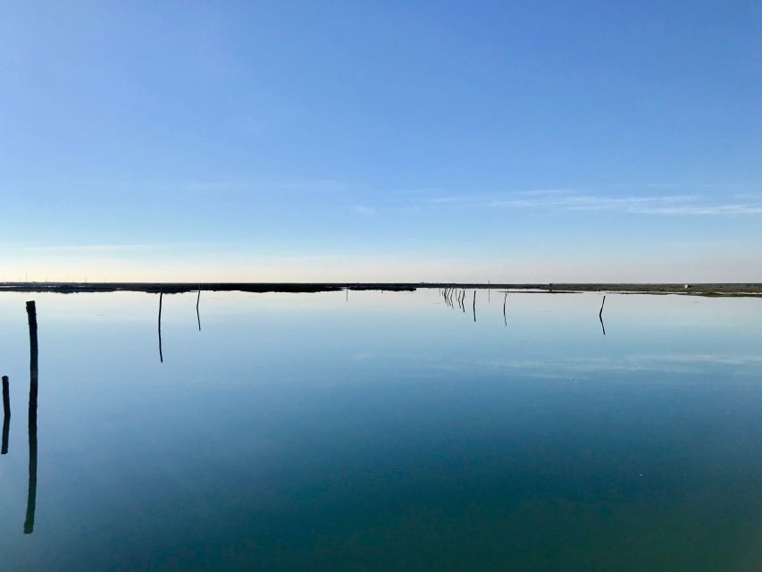 Faro: Speed Boat Tour - One Hour or Two Hours?